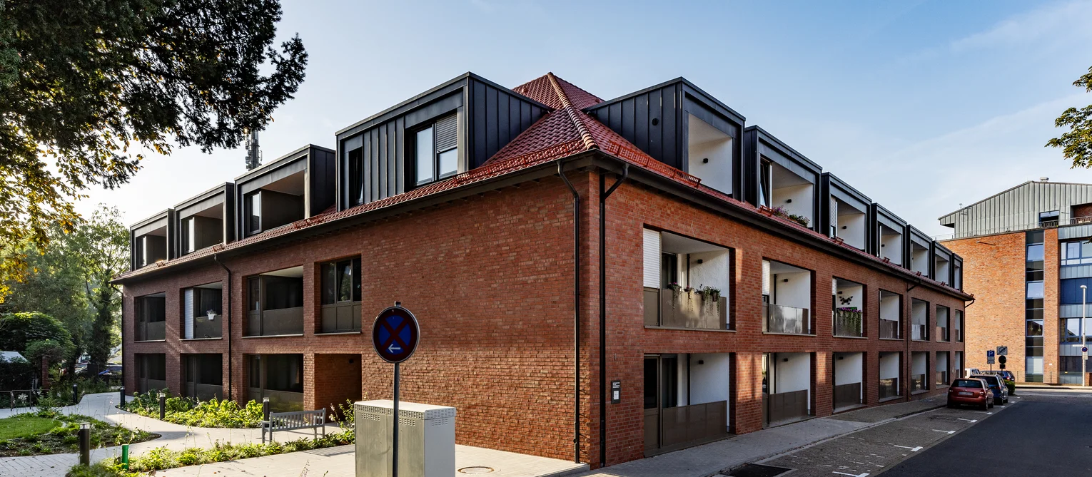 Київські зорі Next